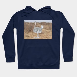 Nandu Ostrich Hoodie